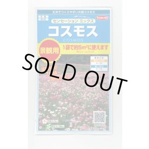 画像: 送料無料　花の種　景観用コスモス　センセーションミックス　(株)サカタのタネ　実咲350（026176）