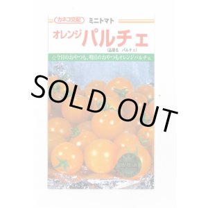 画像: 送料無料　[トマト/ミニトマト]　オレンジパルチェ　1000粒　カネコ種苗（株）