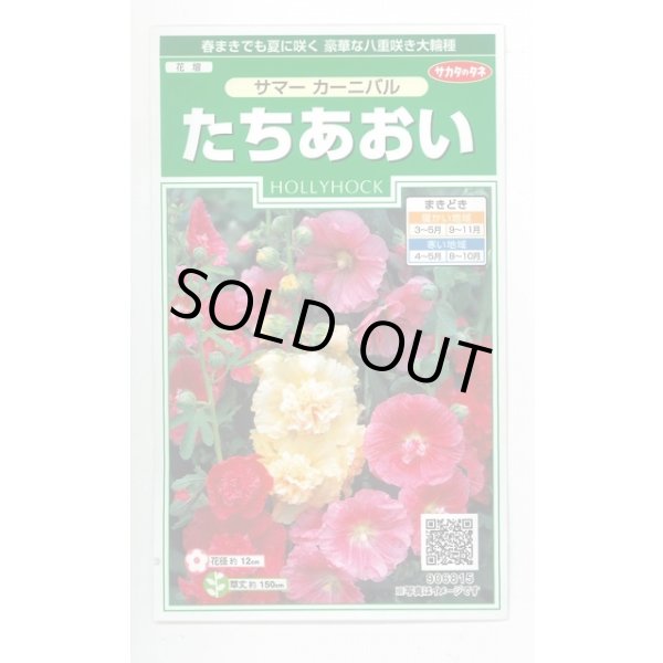 画像1: 花の種 たちあおい サマーカーニバル 約25粒 (株)サカタのタネ 実咲250(026292) (1)
