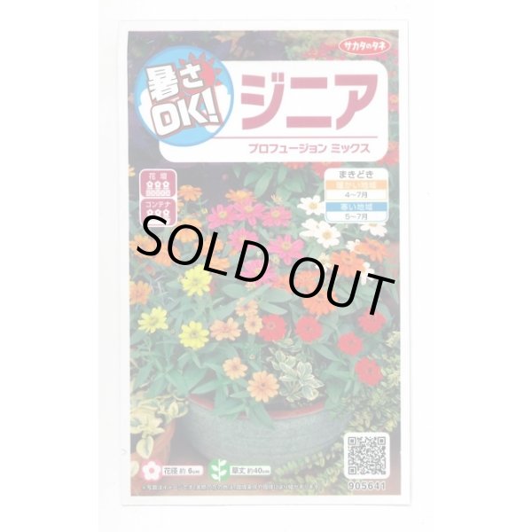 画像1: 花の種 ジニア プロフュージョンミックス 約15粒 (株)サカタのタネ 実咲350(026153) (1)