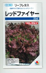 画像: 送料無料　[レタス]　リーフレタス　レッドファイヤー　20ml　タキイ種苗(株)