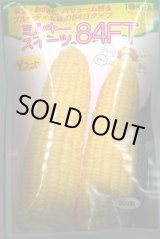 画像: 送料無料　[とうもろこし]　ミルキースイーツ84FT　200粒　トキタ種苗(株)