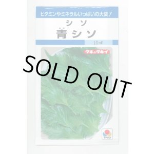 画像: 送料無料　青シソ　9ml　タキイ種苗　MF