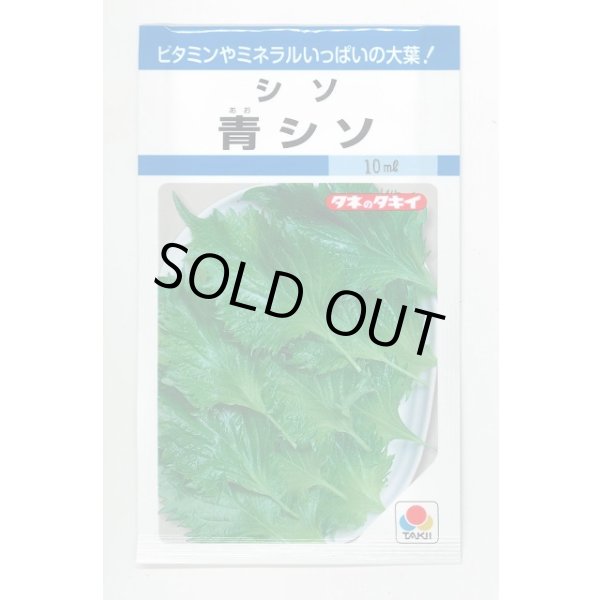 画像1: 送料無料　青シソ　9ml　タキイ種苗　MF (1)