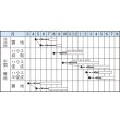 画像2: 送料無料　[葉物]　青シソ　9ml　タキイ種苗　MF (2)