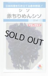 画像: 送料無料　赤ちりめんシソ　9ml　タキイ種苗　MF