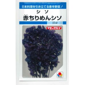 画像: [葉物]　赤ちりめんシソ　9ml　タキイ種苗　MF