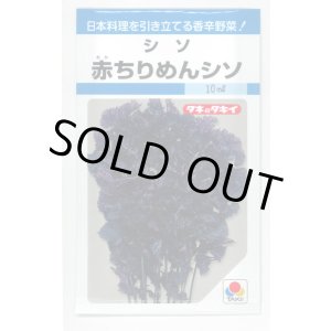 画像: 送料無料　赤ちりめんシソ　9ml　タキイ種苗　MF