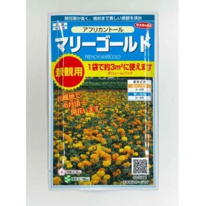 画像: 花の種　マリーゴールド　アフリカントール　約3平米用　   サカタのタネ（株）実咲350