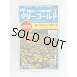 画像: 送料無料　花の種　マリーゴールド　アフリカントール　約3平米用　(株)サカタのタネ　実咲350（026180）