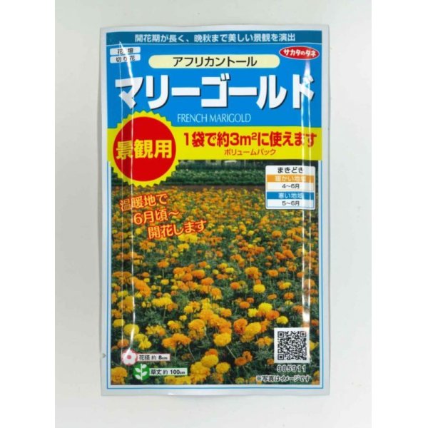 画像1: 花の種　マリーゴールド　アフリカントール　約3平米用　   サカタのタネ（株）実咲350 (1)