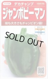画像: 送料無料　[ピーマン]　ジャンボピーマン　デカチャンプ　約40粒　(株)サカタのタネ　実咲550（002903）