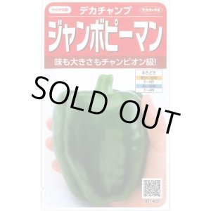 画像: 送料無料　[ピーマン]　ジャンボピーマン　デカチャンプ　約40粒　(株)サカタのタネ　実咲550（002903）