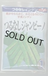 画像: 送料無料　[いんげん]　インゲン　つるなしジャンビーノ　1dl　(株)サカタのタネ