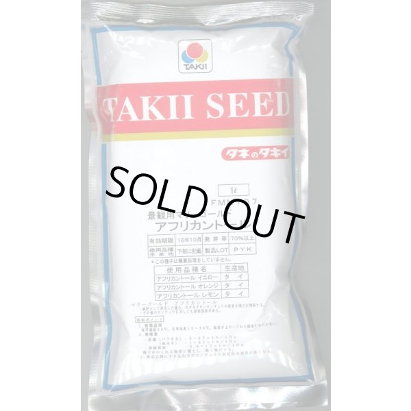 画像1: [景観形成作物]　マリーゴールド　アフリカントール　1L　タキイ種苗 (1)