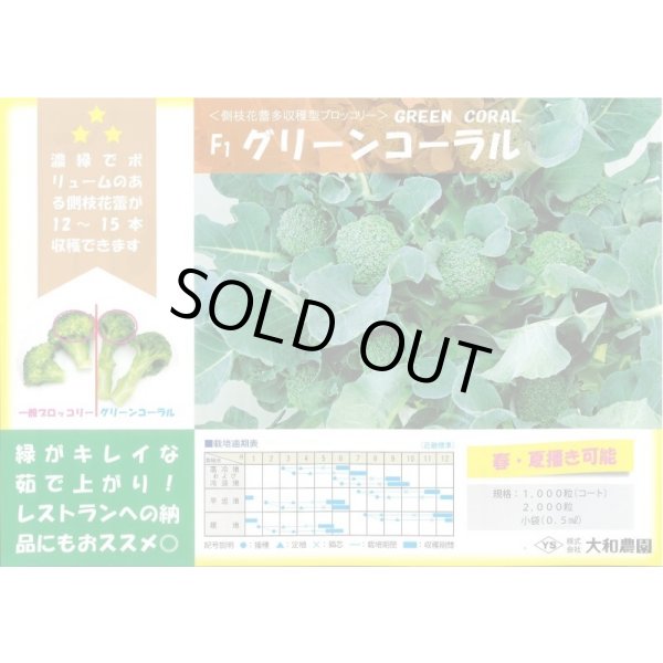 画像3: 送料無料　[ブロッコリー]　グリーンコーラル　1000粒　ペレット種子　（株）大和農園 (3)
