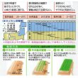 画像2: [葉物]　みずな　京みぞれ　20ｍｌ　タキイ種苗（株） (2)