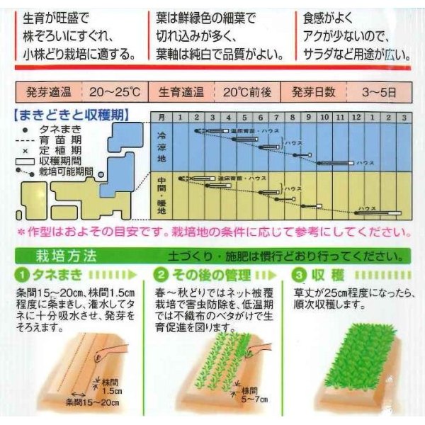 画像2: [葉物]　みずな　京みぞれ　5ml　タキイ種苗（株）　GF　 (2)