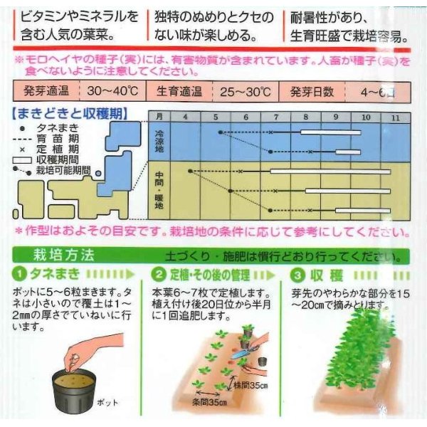 画像2: [葉物]　モロヘイヤ　20ml　タキイ種苗（株） (2)