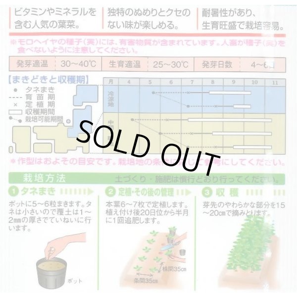 画像2: 送料無料　モロヘイヤ　1.5ml　タキイ種苗(株)　GF (2)