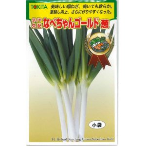 画像: [ねぎ]　なべちゃんゴールド葱　5ml  トキタ種苗（株）