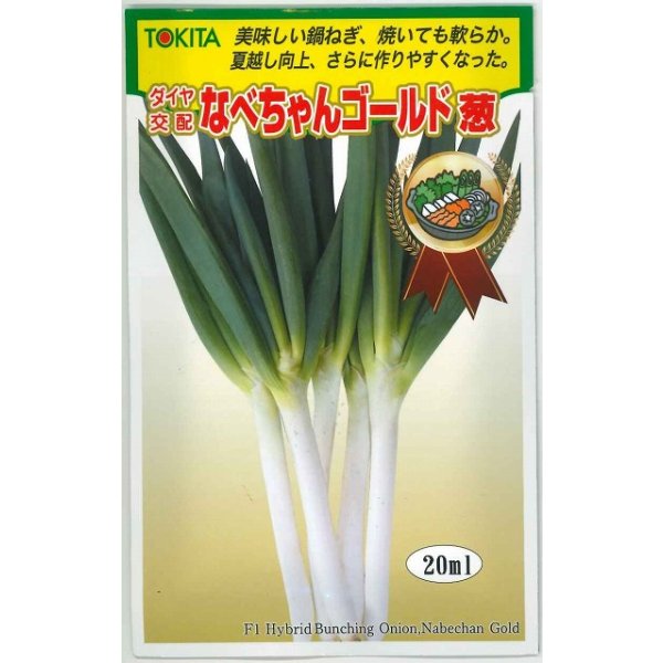 画像1: 送料無料　[ねぎ]　なべちゃんゴールド葱　20ml　トキタ種苗(株) (1)