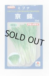 画像: ミブナ 京錦 20ml タキイ種苗(株)