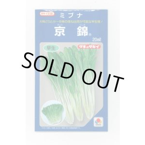 画像: ミブナ 京錦 20ml タキイ種苗(株)
