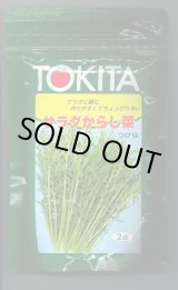 画像: 送料無料　[葉物]　サラダからし菜　2dl　トキタ種苗(株)