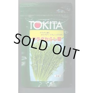 画像: 送料無料　[葉物]　サラダからし菜　2dl　トキタ種苗(株)