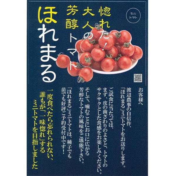 画像2: [トマト/ミニトマト]　ほれまる　14粒　渡辺農事 (2)