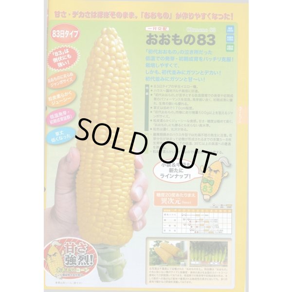 画像2: 送料無料[とうもろこし]おおもの83　2000粒　ナント種苗(株) (2)