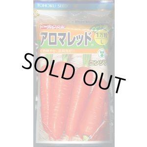 画像: [人参]　アロマレッド　コート1万粒　(株)トーホク