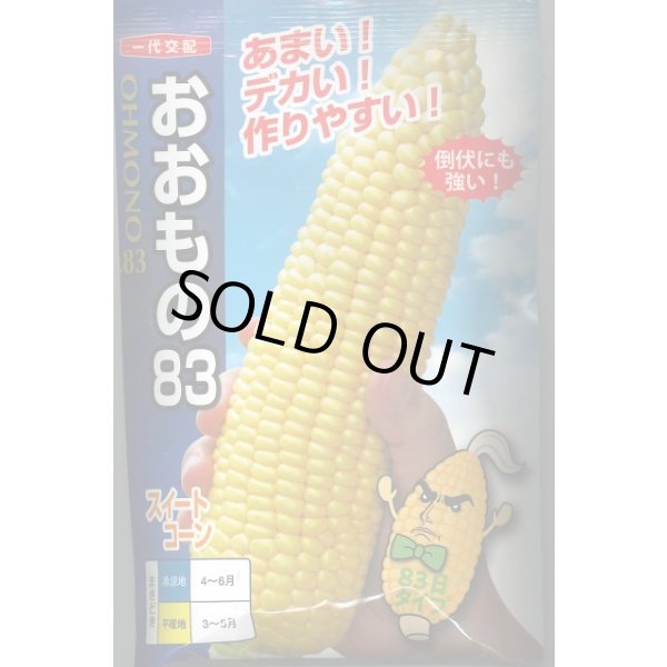 画像1: 送料無料　[とうもろこし]おおもの83　200粒　ナント種苗(株) (1)