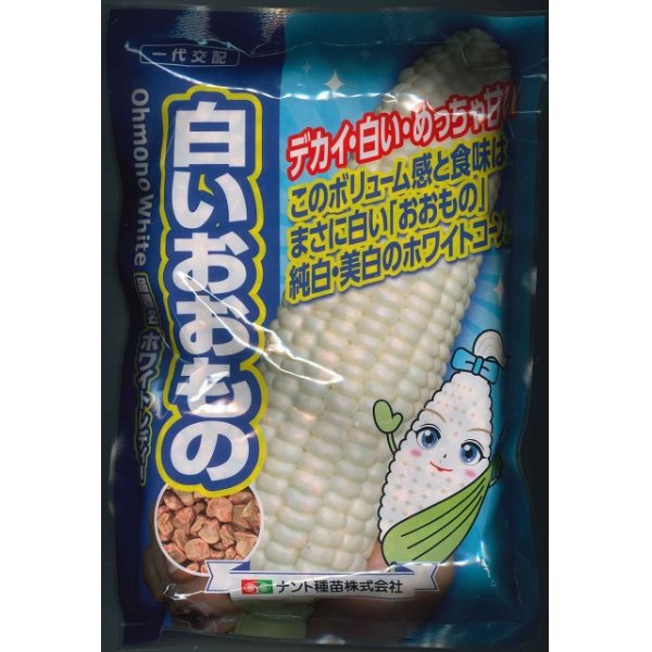 画像1: [とうもろこし]白いおおもの　2000粒　ナント種苗（株） (1)