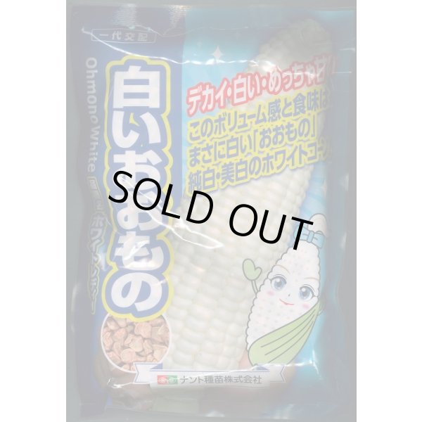 画像1: 送料無料[とうもろこし]白いおおもの　2000粒　ナント種苗(株) (1)
