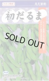 画像: 送料無料　[枝豆]　初だるま　100粒　カネコ種苗（株）