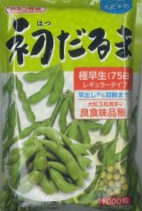 画像: [枝豆]　初だるま　1000粒　カネコ育成