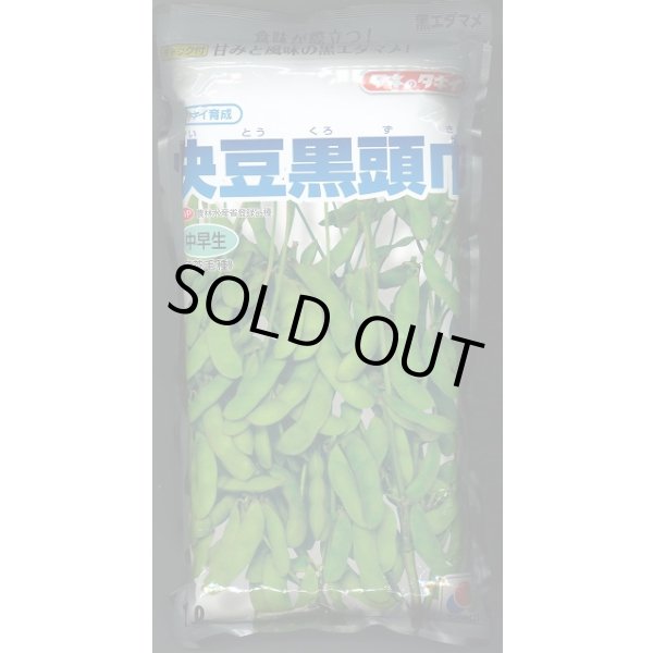 画像1: [枝豆]　快豆黒頭巾　1L　タキイ種苗(株) (1)