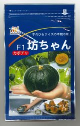 画像: 送料無料　[かぼちゃ]　坊ちゃん　500粒　ヴィルモランみかど