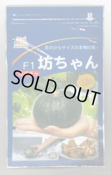画像: 送料無料　[かぼちゃ]　坊ちゃん　500粒　ヴィルモランみかど（株）