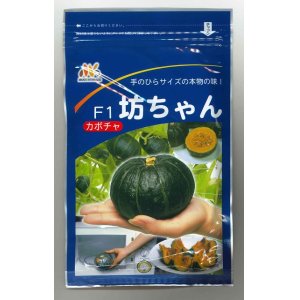 画像: [かぼちゃ]　送料無料！　坊ちゃん　500粒　ヴィルモランみかど