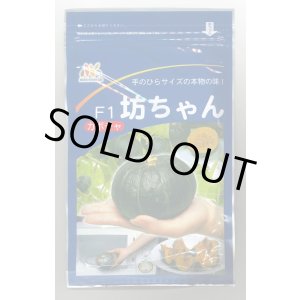 画像: 送料無料　[かぼちゃ]　坊ちゃん　500粒　ヴィルモランみかど（株）