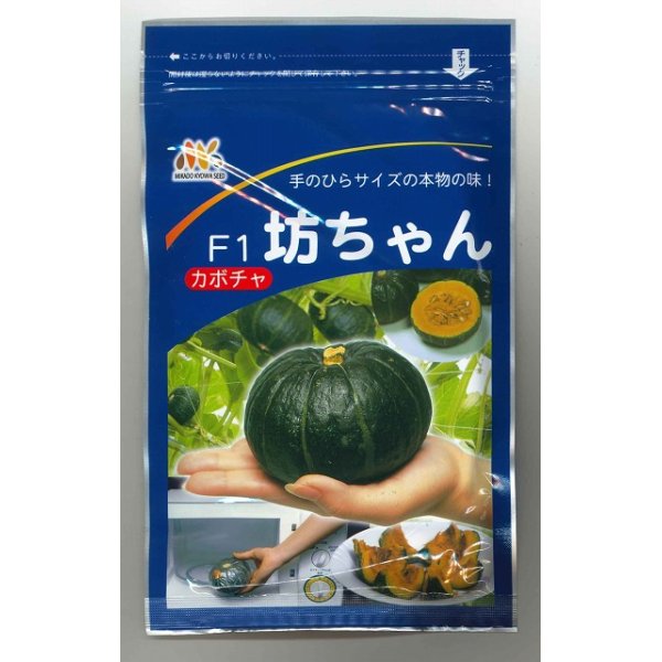 画像1: [かぼちゃ]　送料無料！　坊ちゃん　500粒　ヴィルモランみかど (1)