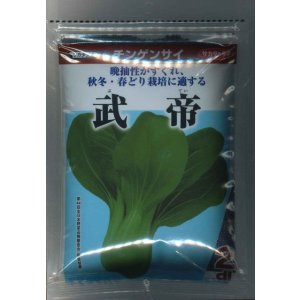 画像: 送料無料　[中国野菜]　チンゲンサイ　武帝チンゲンサイ　2dl　(株)サカタのタネ