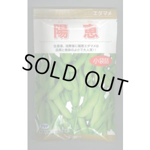 画像: [枝豆]　陽恵　100粒　カネコ種苗（株）