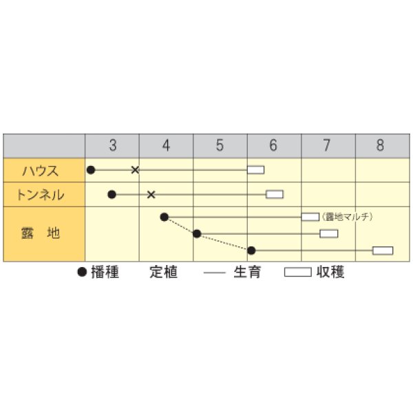 画像2: [枝豆]　陽恵　2000粒　カネコ育成 (2)