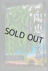 画像: [枝豆]　陽恵　2000粒　カネコ種苗（株）