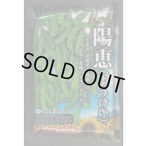 画像: [枝豆]　陽恵　2000粒　カネコ種苗（株）