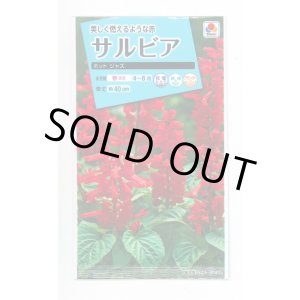 画像: 送料無料　花の種　サルビア　ホットジャズ　小袋　タキイ種苗(株)NL150